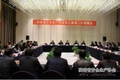 陜西省安全生產(chǎn)協(xié)會(huì )第三屆第二次理事會(huì )勝利召開(kāi)