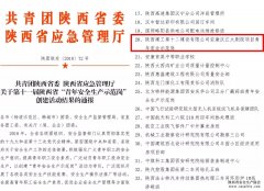 安康漢江大劇院項目獲得陜西省“青年安全生產(chǎn)示范崗”稱(chēng)號