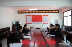 陜西省應急管理與安全生產(chǎn)協(xié)會(huì )赴商南縣十里坪社區開(kāi)展技術(shù)幫扶座談?wù){研